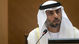 UAE To Expand The Role Of The Private Sector As It Seeks To Revamp Its Electric Power Ecosystem